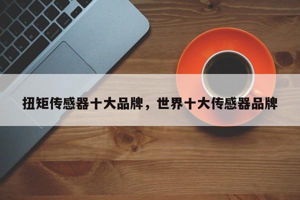 扭矩传感器十大品牌,世界十大传感器品牌