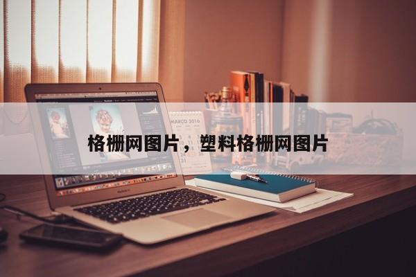格栅网图片,塑料格栅网图片